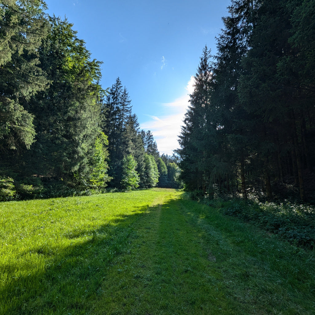 Nachhaltigkeit und AGONIST - eine Haltung